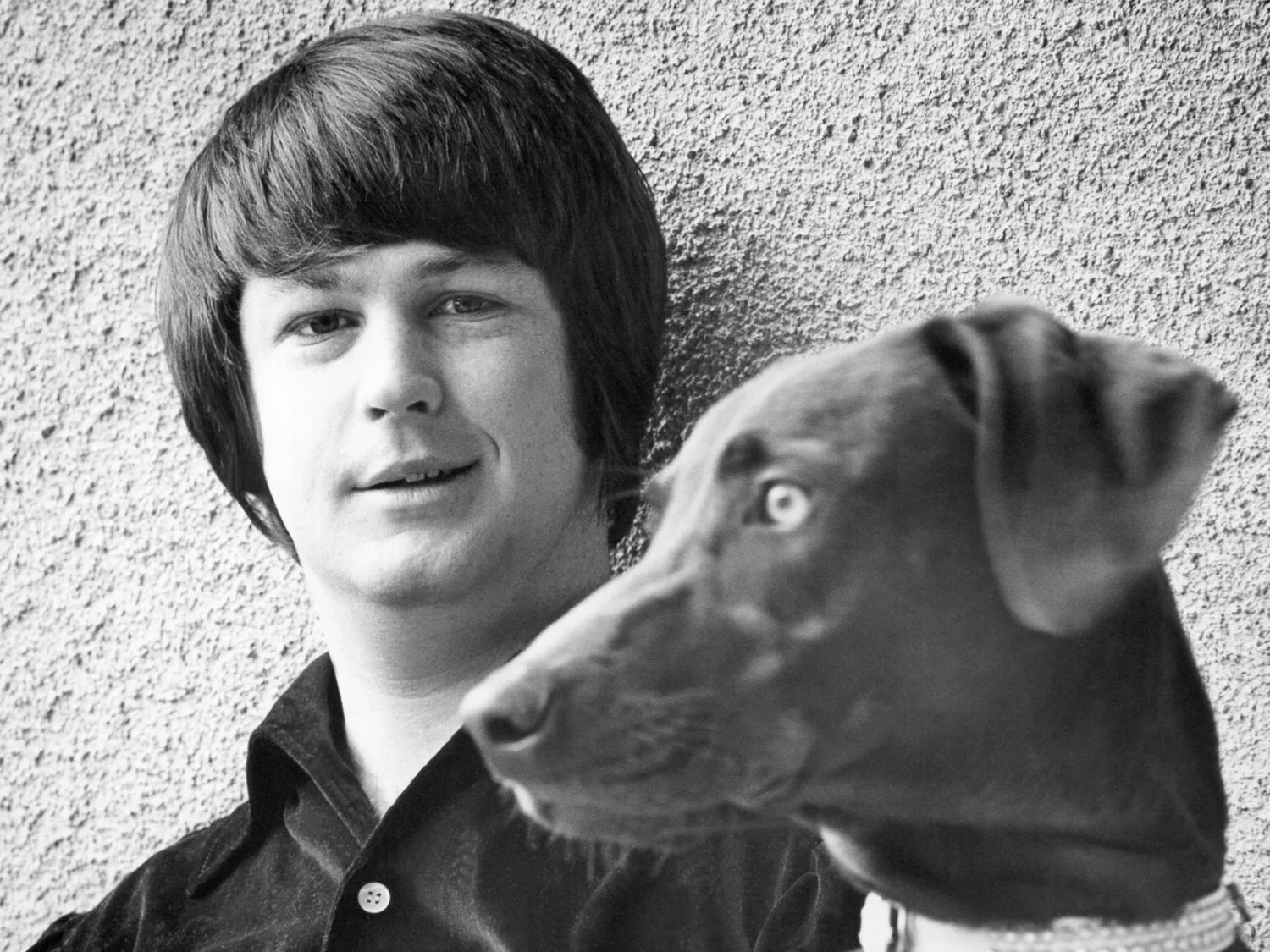 Icons - Remembering Brian Wilson